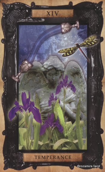 The Victorian Steampunk Tarot